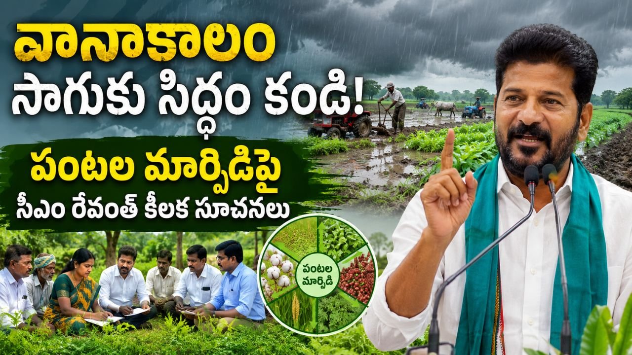 Monsoon Farming